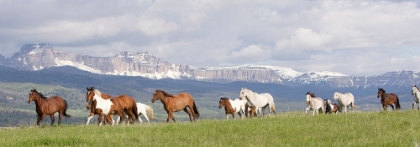 Picture of ABSAROKA RUN