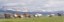 Picture of ABSAROKA RUN