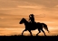 Picture of RUN THROUGH THE SUNSET