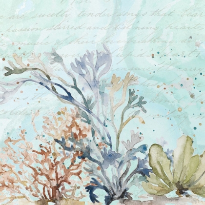 Picture of SEAWEED WATERCOLOR II