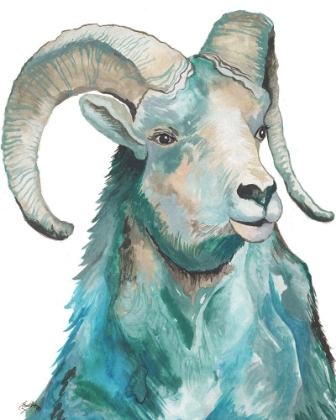Picture of TEAL RAM