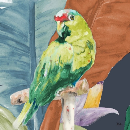Picture of TROPICAL PARROT