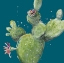 Picture of NATURAL DESERT CACTUS ON BLUE I