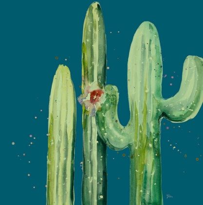 Picture of NATURAL DESERT CACTUS ON BLUE II