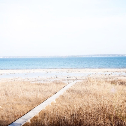 Picture of GRASSY SHORE