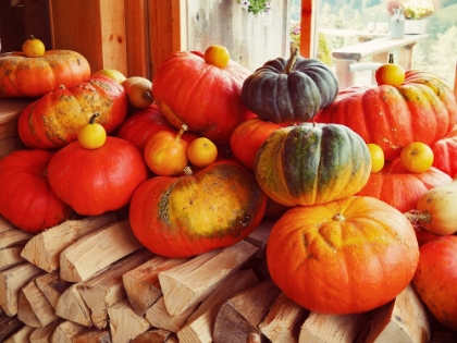 Picture of PUMPKINS OVER WOOD