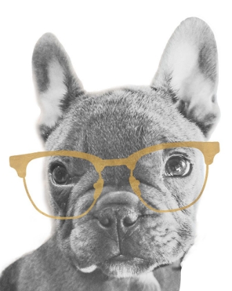 Picture of FRENCHIE GOLD GLASSES