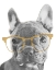 Picture of FRENCHIE GOLD GLASSES