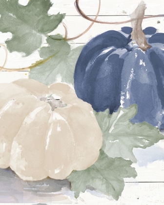 Picture of BLUE AND WHITE PUMPKINS