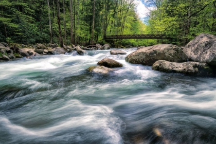 Picture of ROCKY RIVER STREAM