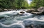 Picture of ROCKY RIVER STREAM