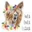 Picture of FA LA LLAMA