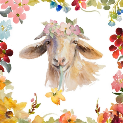 Picture of GOAT WITH FLORAL BORDER