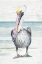 Picture of PELICAN ON THE SHORE I
