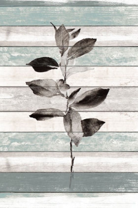 Picture of TONAL LEAVES ON WOOD III