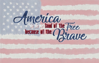 Picture of AMERICA THE FREE