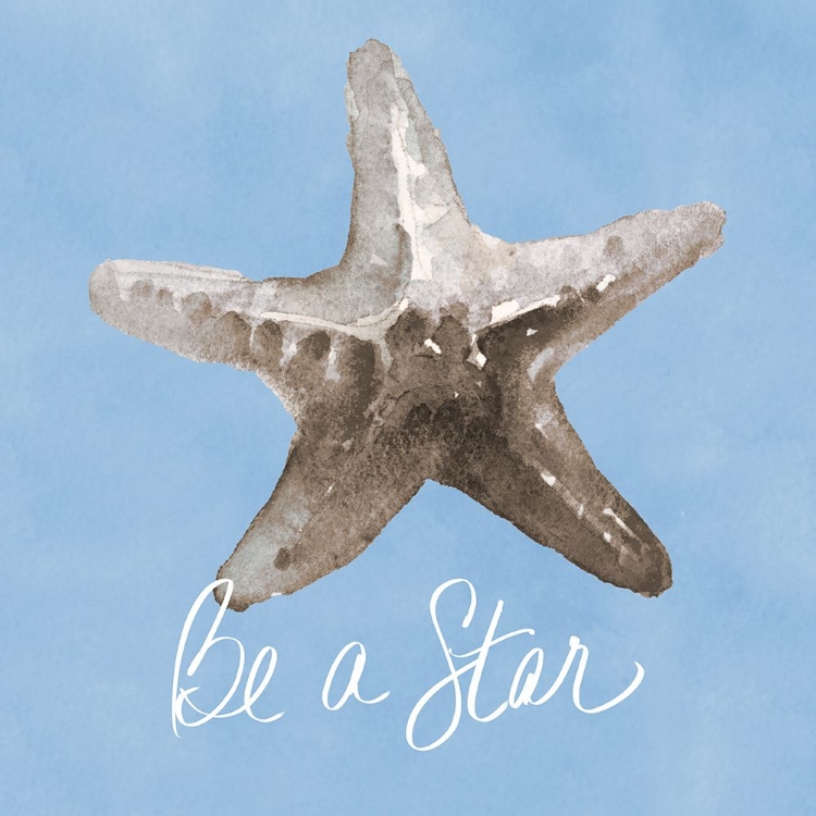 Picture of BE A STAR SHELL