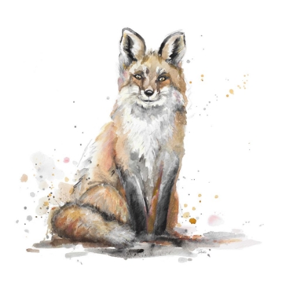 Picture of FOX