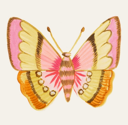 Picture of BRIGHT BUTTERFLY