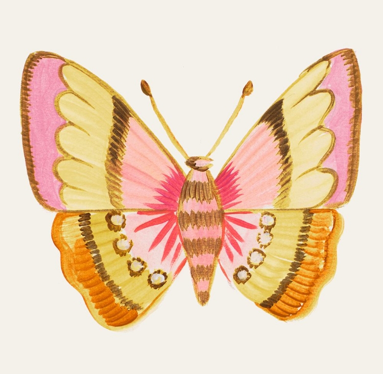 Picture of BRIGHT BUTTERFLY