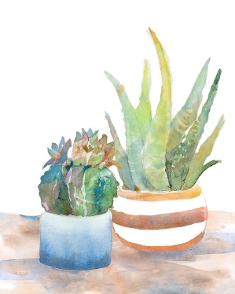 Picture of BLUE AND BROWN POTTED SUCCULENTS