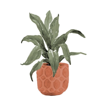 Picture of PLANT IN TERRACOTTA POT I