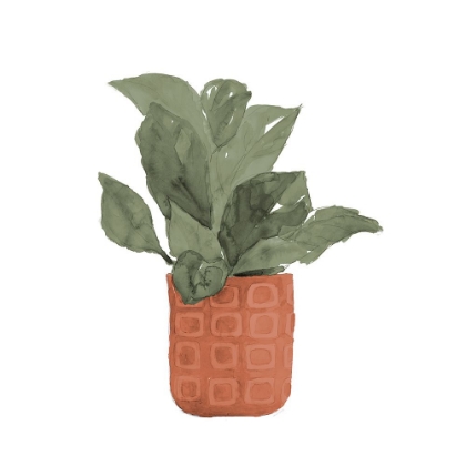 Picture of PLANT IN TERRACOTTA  POT II
