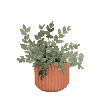 Picture of PLANT IN TERRACOTTA  POT IV
