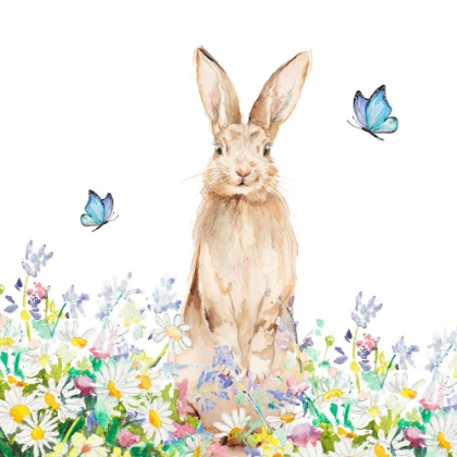Picture of SPRING BROWN BUNNY