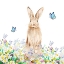 Picture of SPRING BROWN BUNNY