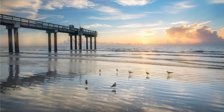 Picture of SUNSET PIER