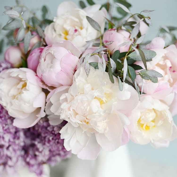 Picture of PRETTY PINK BLOOMS