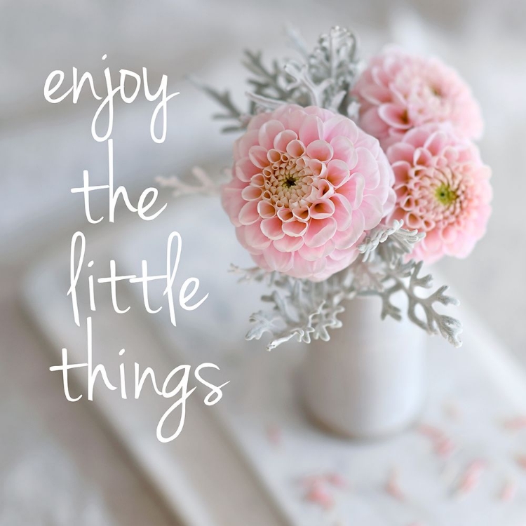 Picture of ENJOY THE LITTLE THINGS