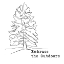 Picture of EMBRACE THE OUTDOORS