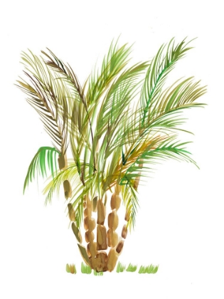 Picture of THE PALM IV
