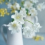 Picture of BEAUTIFUL FLORAL GREETINGS
