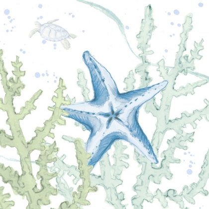Picture of BLUE STARFISH IN CORAL