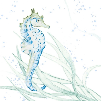 Picture of BLUE SEAHORSE IN SEAGRASS