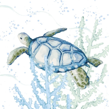 Picture of BLUE SEA TURTLE IN CORAL
