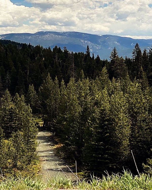 Picture of MOUNTAIN STREAM