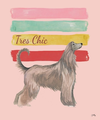 Picture of TRES CHIC DOG