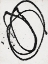 Picture of GOING IN CIRCLES ON WHITE I