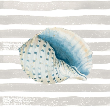 Picture of SHELL ON STRIPES