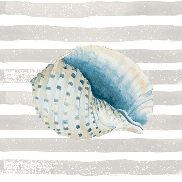 Picture of SHELL ON STRIPES