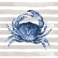 Picture of BLUE CRAB ON WIDE STRIPES