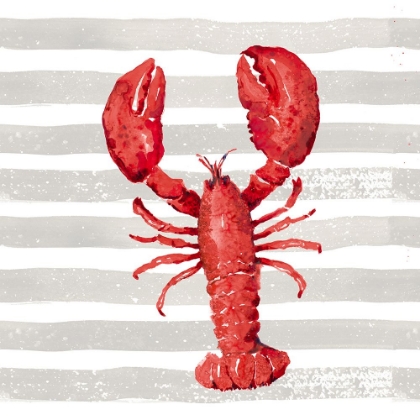 Picture of RED LOBSTER ON WIDE STRIPES