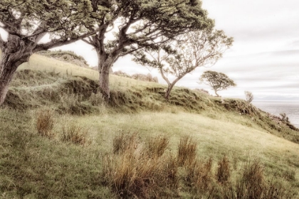 Picture of IRISH HILLSIDE