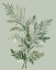 Picture of TONAL GREEN FERNS I