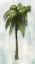 Picture of SINGLE PALM TREE I