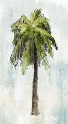 Picture of SINGLE PALM TREE II